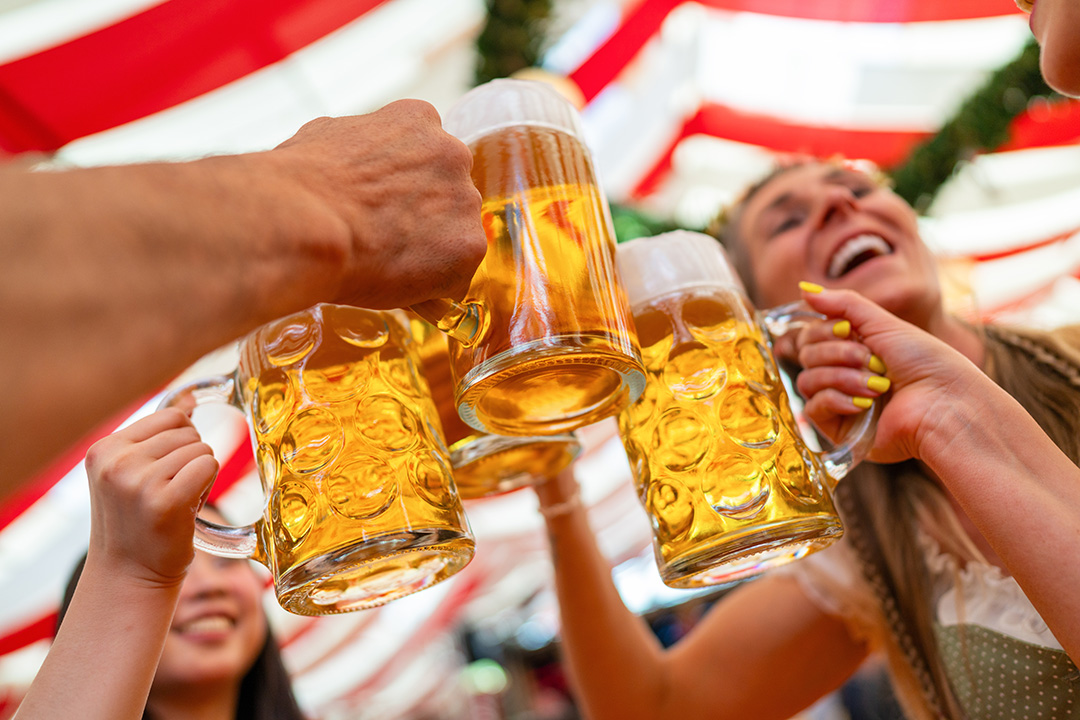 Beer Cheers